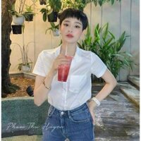 [HOT TREND] áo sơ mi 1 túi basic không bao giờ lỗi mốt