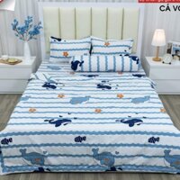 (Hot trend) 🐬 Chăn Đắp Hè Thu Mẫu Cá Voi Xanh Trần Bông 🐬 Vải PoLy Cotton dùng gia đình, văn phòng, công sở nằm điều hoà