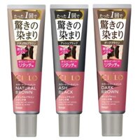 hoyu Cielo Dưỡng Tóc Nhuộm Màu Dùng Để Dặm (Thuốc Nhuộm Tóc Bạc) 140g Japan Cosmetic Makeup