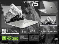 HP Pavilion 15 CS3119TX [ MX 250 - 2 GB ]
