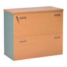 Tủ tài liệu thấp SV802