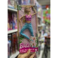 HRH27 Barbie Cute Pose! Pink Blue Theme House Barbie Doll Pink Blue