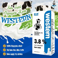 [HSD 11/2025] Thùng 12 lít sữa tươi nguyên chất WESTERN béo 3.8