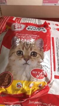 [HSD 2026] Thức ăn cho mèo Zoi Cat 1kg giá cực rẻ - Thái Lan
