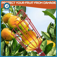 Hshduti Giỏ đựng trái cây có thể tháo rời Máy thu trái cây thân thiện với lưu trữ Dụng cụ hái trái cây bằng thép không gỉ có tay cầm dài để thu hoạch quả bơ Đa năng có thể tháo rời cho Đông Nam