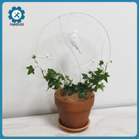 Hshduti Ứng dụng rộng rãi Giá đỡ cây leo cho cây trồng trong nhà Giá đỡ cây leo sắt tinh tế có thể tái sử dụng