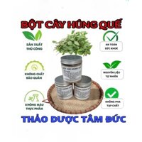 hũ 1kg bột thân cây húng quế