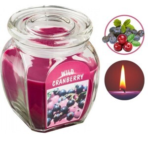 Hũ nến thơm tinh dầu Bolsius Wild Cranberry 305g QT024365 - việt quất hoang dã
