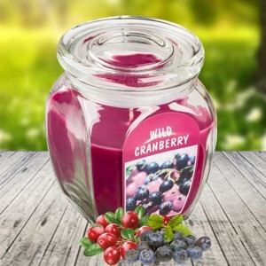 Hũ nến thơm tinh dầu Bolsius Wild Cranberry 305g QT024365 - việt quất hoang dã