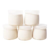 HŨ SỮA CHUA NHỰA