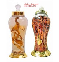 HŨ THỦY TINH NGÂM SÂM 3L VÒI