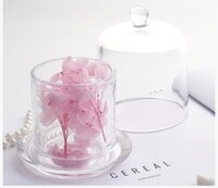 Hũ thủy tinh tròn lồng chụp - Or