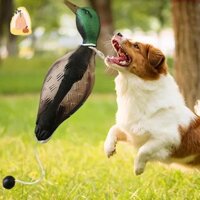 Huấn luyện chó Vịt Dummy Huấn luyện chó Dummy Dog Retrieved Dummy với Công tắc ném HGT