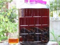 Hướng dẫn cách ngâm rượu chuối hột tại nhà