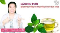 Hướng Dẫn Chi Tiết Cách Nấu Nước Lá Sung Đúng Chuẩn
