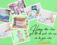 Hướng dẫn chọn giỏ đồ đi sinh cho mẹ và bé gọn nhẹ