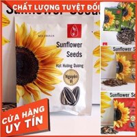 Hướng Dương Sunflower Seed Nguyên Vị - Vị Muối - Vị Dừa - Ăn Vặt Tiệm Trà & Cafe Gói 55-60g - Bịch 30 Gói