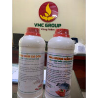 Hương mắm cá cơm VMC