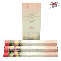 Hương Xô thơm trắng - Palo santo - Ấn Độ GR - FLUTE - FLU2 Lotus