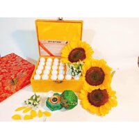 Hữu Quy Hoàn-Bổ Thận Tráng Dương