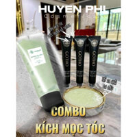 Huyết Thanh Gỗ Thông