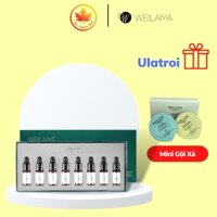 Huyết thanh Serum Mọc Tóc Weilaiya Chính Hãng Hộp 8 lọ x5ml - Cam Kết Hiệu Quả Sau 12 Tuần sử dụng