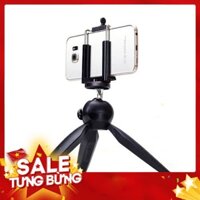 🎤HV Mini Chân máy tính bảng Điện thoại Camera Chân máy có thể tháo rời Đầu cho máy ảnh DSLR / Mirrorless Camera DV - Hà