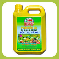 HVP (5 lít) - 6-6-4 K-HUMAT - Phân Bón Lá/Tưới Gốc Giúp Kích Ra Rễ, Hoa To Đẹp Màu, Chuyên Dùng Cho MAI VÀNG
