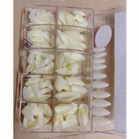 HY8 WSR Móng up Ovan Jeliva 64 HY8