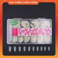 HY8 WSR Móng up Ovan Jeliva 64 HY8