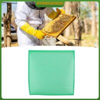 Hydrogen065 Bộ cách ly nhựa Bee Control Control Board Control chống crack 12pcs đa chức năng cho người nuôi ong