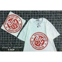 I-2620 ÁO THUN NỮ IN BIGSIZE SALE GIÁ TỐT CÓ 1 KHÔNG 2