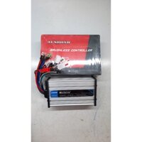 IC 500W-800W Xe Đạp Điện