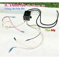 IC Đánh Lửa Bếp Gas Âm 2 Lò ( Loại Đa năng dùng cho bếp ga âm đôi hoặc bếp gas dương đôi )