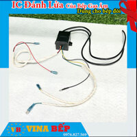 IC Đánh Lửa Bếp Gas Âm