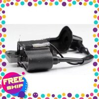 Ic đánh lửa cuộn lửa xe moto cào cào mini 50cc cục nguyên khối