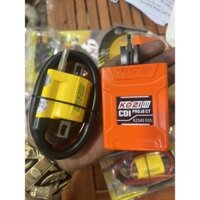 IC Mobin sườn, gắn cho các dòng xe máy, xe 67, CD, CL...