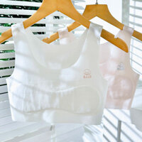 Ice Silk Áo Vest Nhỏ Bé Gái Phát Triển Áo Ngực Bé Gái Học Sinh Tiểu Học Giai Đoạn Đầu Tiên Lớn Trẻ Em 12 Tuổi 10 Bé Gái Phong Cách Mỏng Boutique Giày Hội Thảo20250328