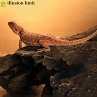 Illusion LIMIT Lizard Hideout Cave Nhựa Terrarium Trang Trí Rắn