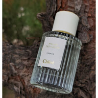 Immortal aura drifting C h l o e Paradise Series perfume Northern Cedar Clean Pure Wood Flower 50