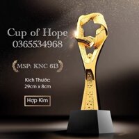 IN ẤN THEO YÊU CẦU Kỷ Niệm Chương 613 Lưu Niệm Cúp Bóng Đá Thể Thao Cup Lưu Niệm Pha Lê Cờ Giá Rẻ Xịn Huy Chương Vàng