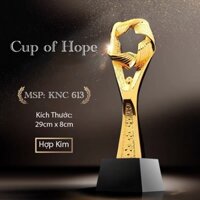 IN ẤN THEO YÊU CẦU Kỷ Niệm Chương 613 Lưu Niệm Cúp Bóng Đá Thể Thao Cup Lưu Niệm Pha Lê Cờ Giá Rẻ Xịn Huy Chương Vàng