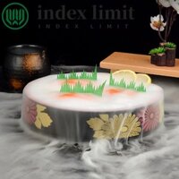 Index GIỚI HẠN Đĩa Sushi, Hộp Đựng Thực Phẩm Tròn Nhựa, Khuôn Chống Mài Mòn Tiện Lợi Chống Rơi Khay Hải Sản Nhà Hàng