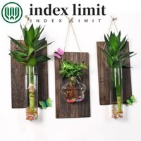 Index GIỚI HẠN Hộp Đựng Thủy Canh, Bình Thủy Tinh Treo Tường Sáng Tạo Cổ Điển, Bình Trong Suốt Trang Trí Nhà Cửa Treo Tường Cây Chậu Hoa Phòng