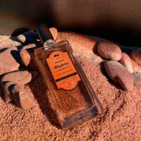 Infamous – Western