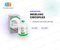INGELVAC/CIRCO FLEX