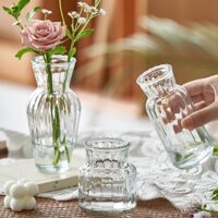 Ins Đơn Giản Sáng Tạo Bình Nhỏ Phòng Khách Nuôi Trồng Thủy Canh Hoa Mini Bình Thủy Canh Bình Thủy Tinh Cao Cấp