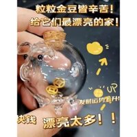 Ins Mini Pig Dễ Thương Heo Đất Chúc Chai Bảo Quản Chai Thủy Tinh Chó Vàng Sách Đỏ Nhỏ Cùng Mẫu