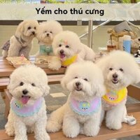 Ins Phong Cách Hàn Quốc Bốn Mùa Gấu Yếm Ba Phần Khóa Chó Yếm Thú Cưng Nước Bọt Khăn Mèo Chó Yếm