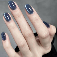Internet Hot Blue Ink Cat Eye Series Nail Polish Gel Autumn and Winter Popular Color Flash Micro Glass Bead Cat's Eye for Nail Beauty Shop sdQv
